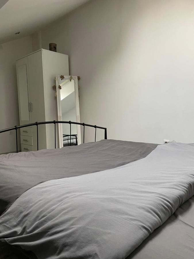 カルロヴァッツApartman Rakovacアパートメント エクステリア 写真